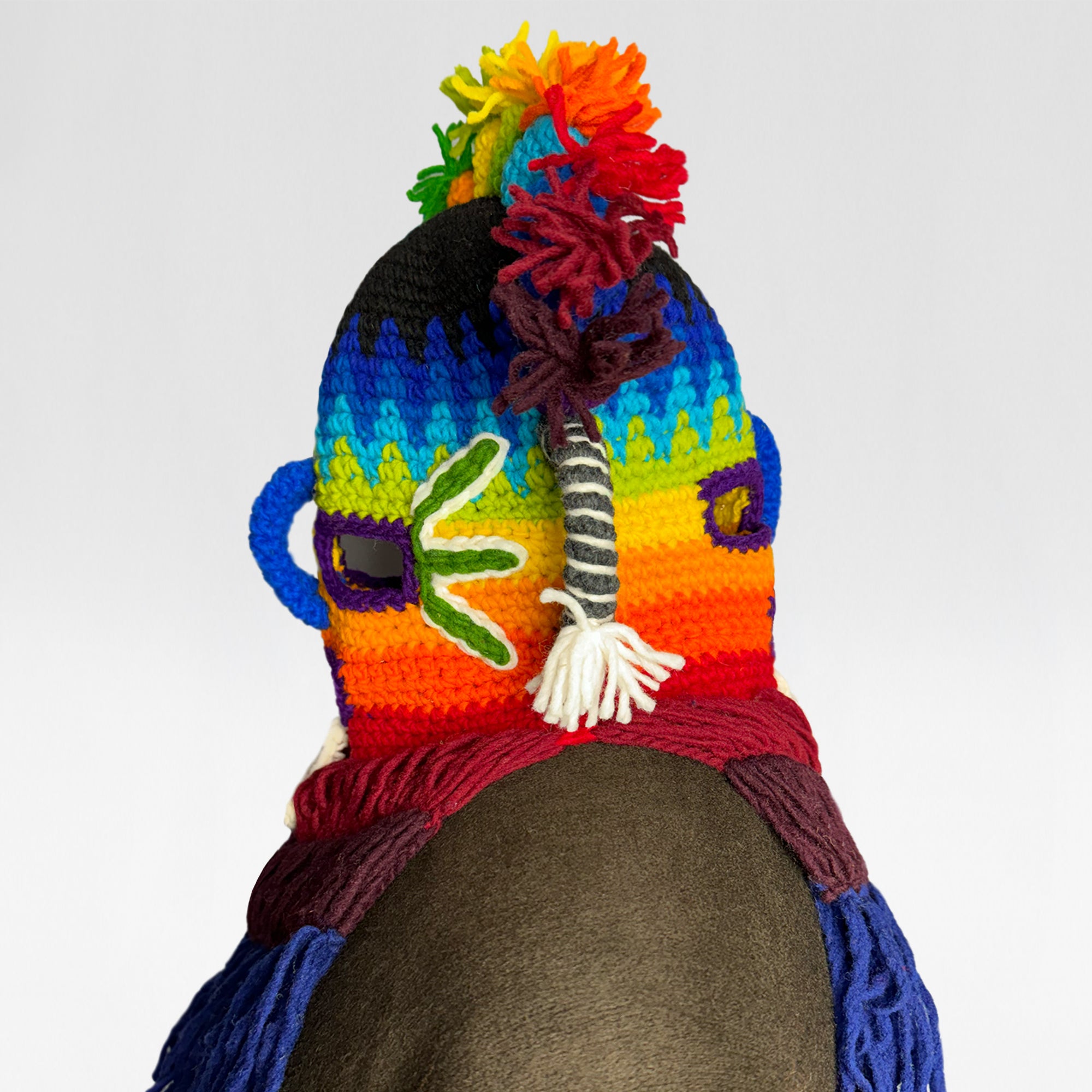 A dog wears a colorful, crocheted mask with rainbow stripes and decorative tassels, standing against a plain white background.