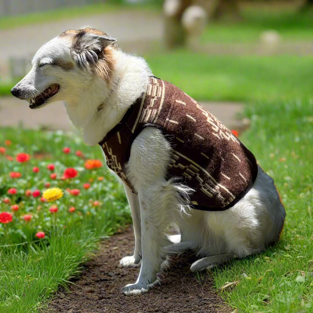 A dog, wearing a patterned brown vest, sits contentedly on a garden path surrounded by vibrant red and yellow flowers in a sunny outdoor setting.