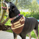Set of 3 Western-Inspired Alpaca Wool Dog Pawtterns Bandanas – Handwoven in the Andes