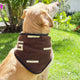 Set of 3 Western-Inspired Alpaca Wool Dog Pawtterns Bandanas – Handwoven in the Andes