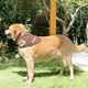 Set of 3 Western-Inspired Alpaca Wool Dog Pawtterns Bandanas – Handwoven in the Andes