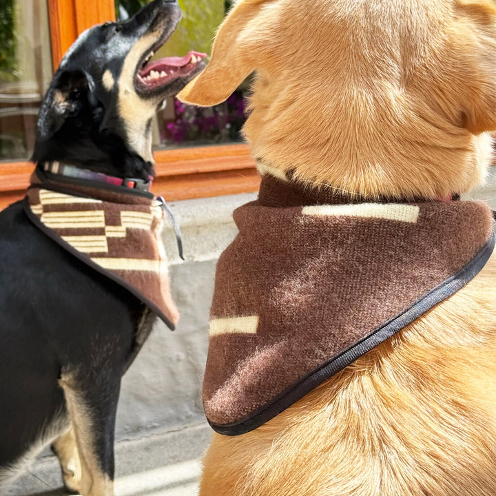 Set of 3 Western-Inspired Alpaca Wool Dog Pawtterns Bandanas – Handwoven in the Andes