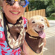 Set of 3 Western-Inspired Alpaca Wool Dog Pawtterns Bandanas – Handwoven in the Andes
