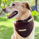 Set of 3 Western-Inspired Alpaca Wool Dog Pawtterns Bandanas – Handwoven in the Andes