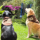 Set of 3 Western-Inspired Alpaca Wool Dog Pawtterns Bandanas – Handwoven in the Andes