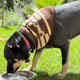 Set of 3 Western-Inspired Alpaca Wool Dog Pawtterns Bandanas – Handwoven in the Andes