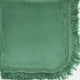 A green blanket with fringed edges lies flat, featuring a decorative braided trim along one side. The background is plain, emphasizing the texture and color of the blanket.