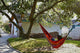 A person relaxes in a red hammock tied to two tree branches, while another sits in the tree. A white house and stacked firewood sit in the background under sunny skies.