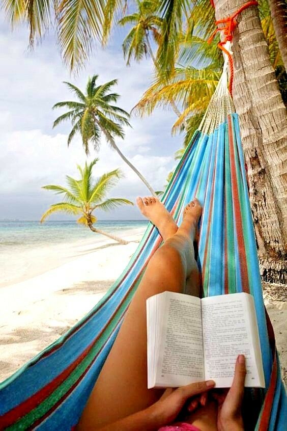 A person relaxes in a blue striped hammock reading a book, surrounded by palm trees on a sandy beach with a view of the ocean.