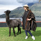 A llama stands on grassy ground, looking at a person in a patterned poncho and hat, with a lake and mountains visible in the background.